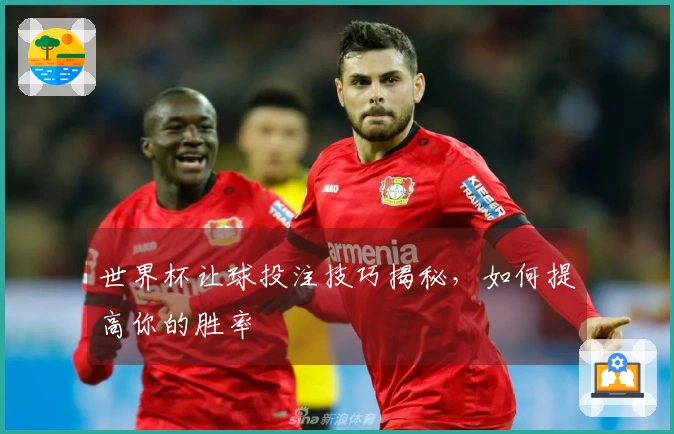 世界杯让球投注技巧揭秘，如何提高你的胜率