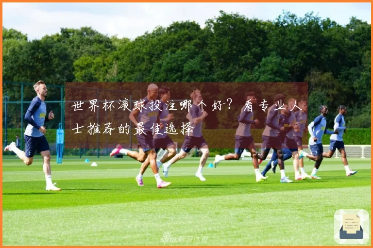 世界杯滚球投注哪个好？看专业人士推荐的最佳选择