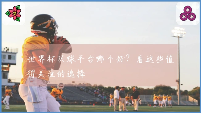 世界杯买球平台哪个好？看这些值得关注的选择
