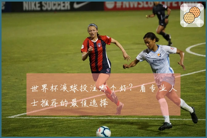 世界杯滚球投注哪个好？看专业人士推荐的最佳选择