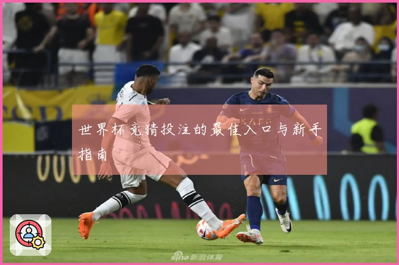 世界杯竞猜投注的最佳入口与新手指南