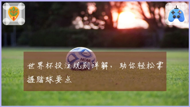 世界杯投注规则详解，助你轻松掌握赌球要点