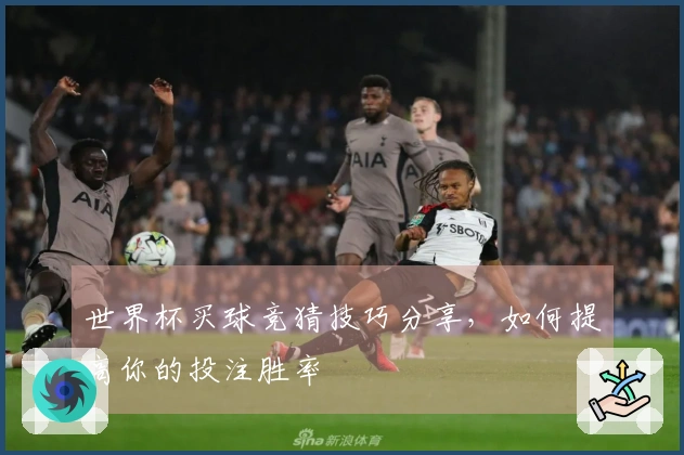 世界杯买球竞猜技巧分享，如何提高你的投注胜率