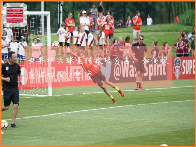世界杯买球竞猜技巧分享，如何提高你的投注胜率
