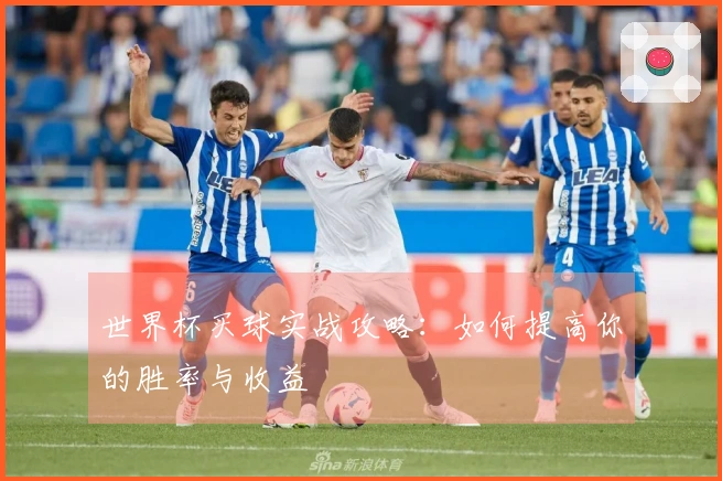 世界杯买球实战攻略：如何提高你的胜率与收益