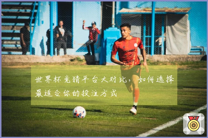 世界杯竞猜平台大对比，如何选择最适合你的投注方式