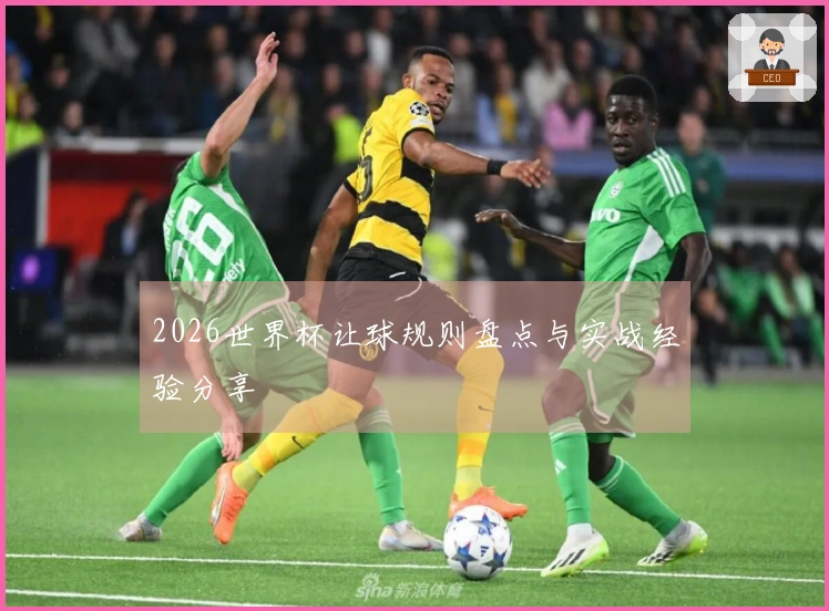 2026世界杯让球规则盘点与实战经验分享